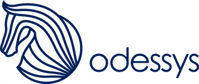 Odessys digital marketing agency for small business
