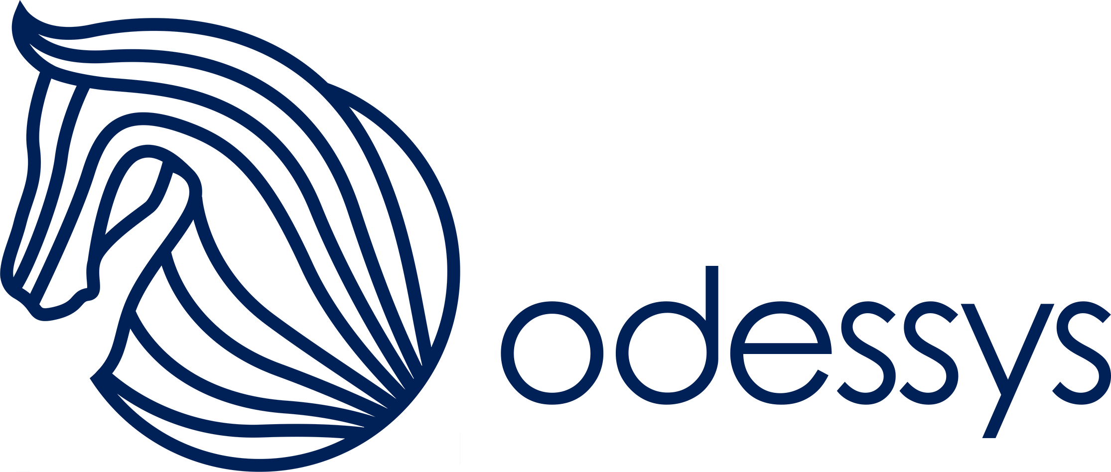 Odessys digital marketing agency for small business